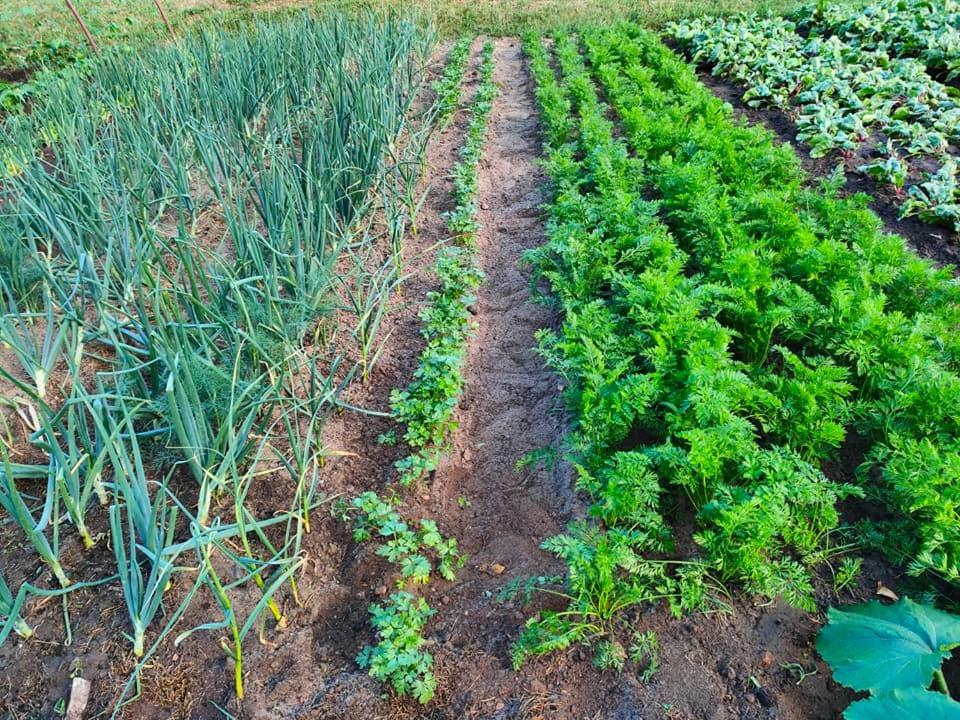 Agrowinnica Borzytuchom Экстерьер фото